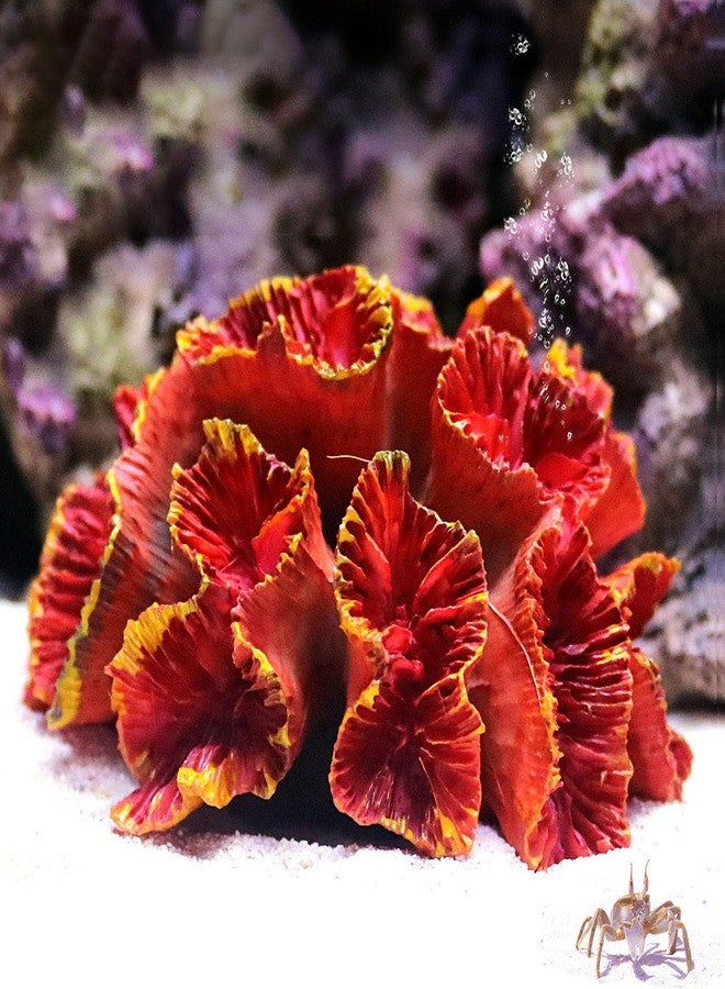 Besimple Aquarium Coral Ornaments Decor Fish Tank Plants Decoration for Aquarium Landscape,Red - Image 1